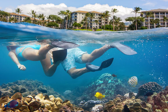 Underwater lifestyle scene capturing playful guest experience and resort leisure environment.