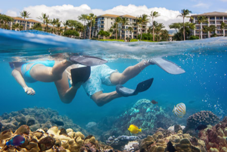 1. Underwater / Resort Experience Immersive moments where design meets the natural rhythm of the ocean. 2. Beachfront Aerial Elevated perspectives of destination-driven design along the shoreline. 3. Interior Living Space Refined interiors crafted for comfort, light, and connection. 4. Guest Room with View Spaces designed to frame the horizon and elevate the guest experience. 5. Bar / Dining Interior Social spaces where atmosphere and architecture come together. 6. Family Dining Lifestyle Moments of connection shaped by thoughtful, experience-driven design. 7. Medical Imaging Room Precision environments built for clarity, care, and innovation. 8. Corporate Campus Exterior Modern environments that reflect scale, purpose, and identity. 9. Patient Care Scene Human-centered spaces designed to support care and recovery. 10. Healthcare Interaction Environments that foster trust, compassion, and connection.